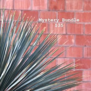 Mystery Bundle $35 // Sale $25 Limited Time Only